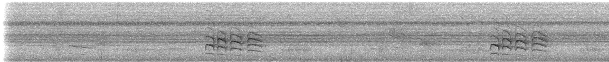 Band-tailed Antwren - ML209626