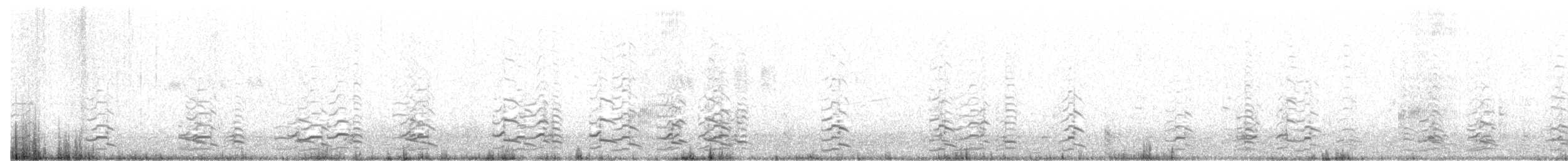 Малая канадская казарка (leucopareia) - ML209732161
