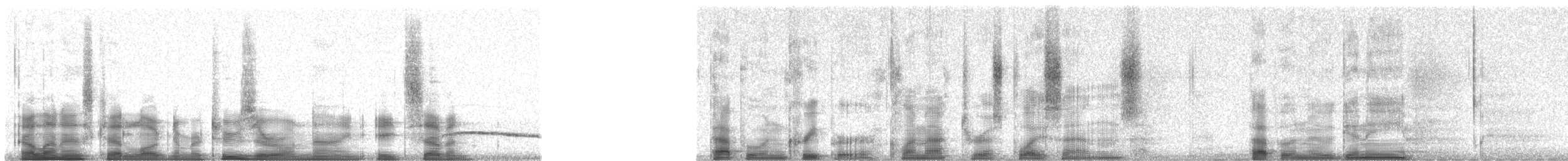 Papuabaumrutscher - ML20987