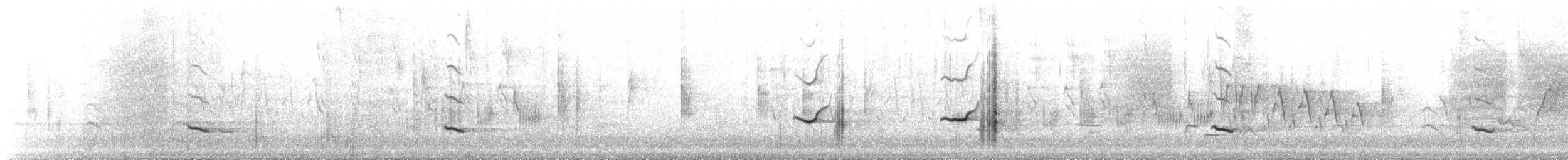 White-tailed Kite - ML210005521