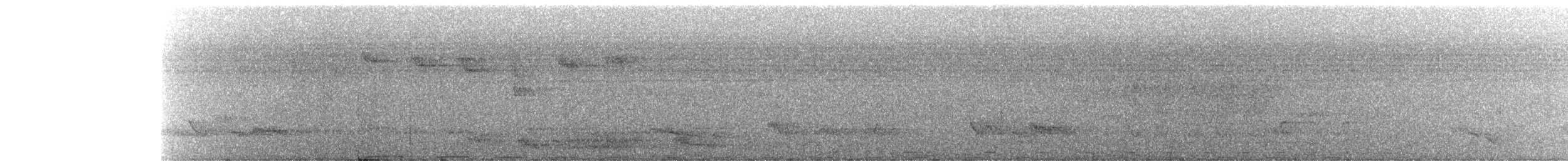 holub šedokrký - ML210123401