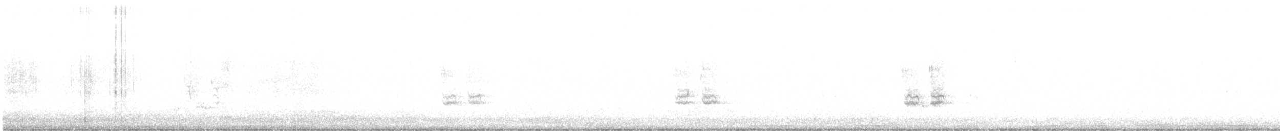 Клинохвостый сорокопут - ML210127941