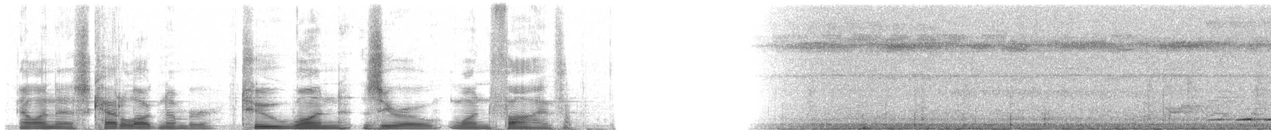 Strichelbrust-Ameisenpitta - ML21015