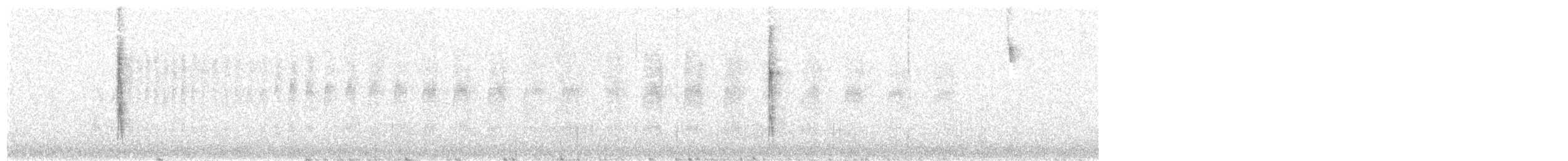 Colibri à queue singulière - ML21016451