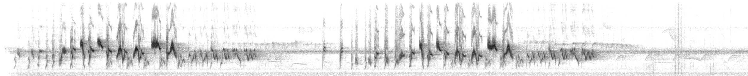 Two-banded Warbler (Two-banded) - ML210256