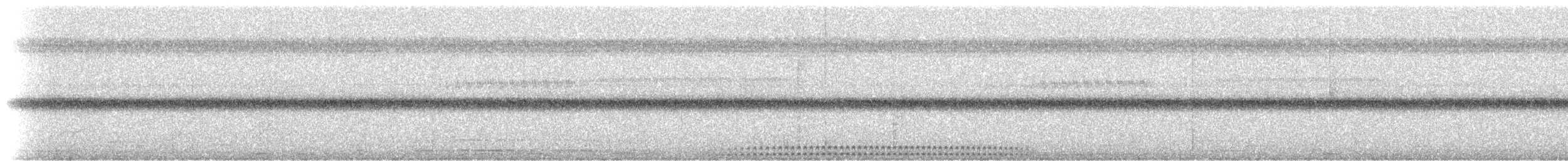 marañonugle (pacificus) - ML210256861