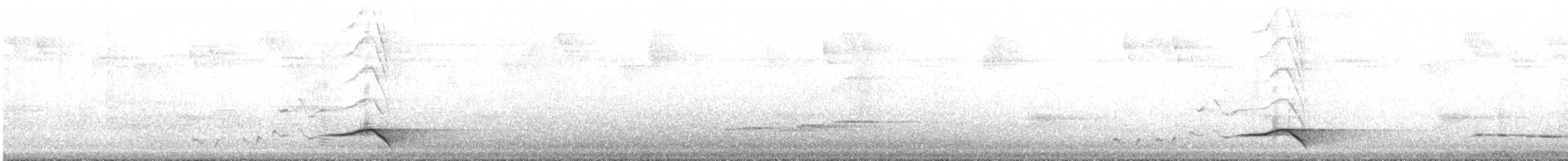 svartnakkepirol (frontalis gr.) - ML210316471