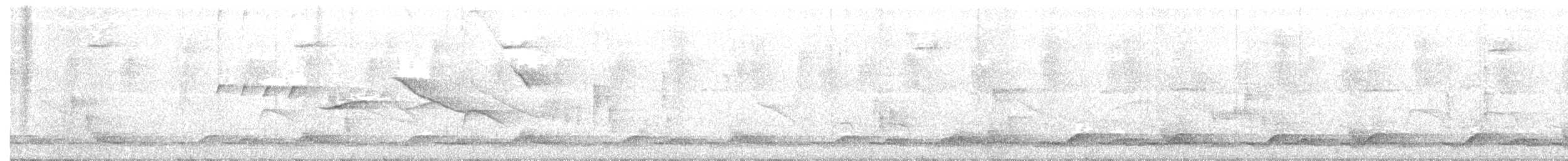 Spotted Wood-Quail - ML210354111