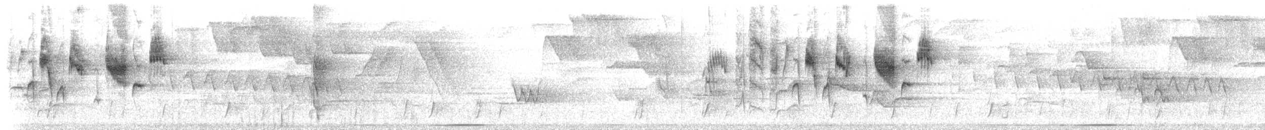 Mountain Wren - ML210360