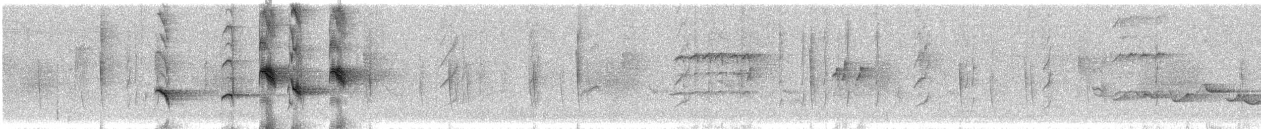 Square-tailed Bulbul - ML210469711