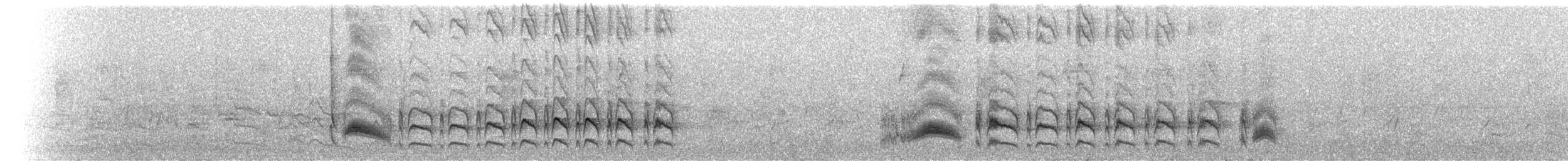 Серогрудый тиранн - ML210506721
