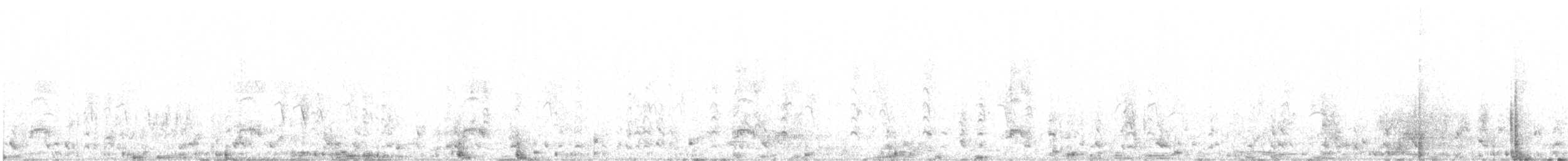 břehouš černoocasý - ML210519921