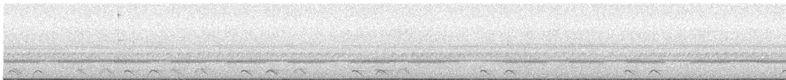 Дрімлюга плямистий - ML210570971