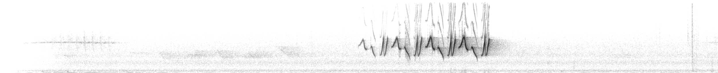 Common Yellowthroat - ML210613
