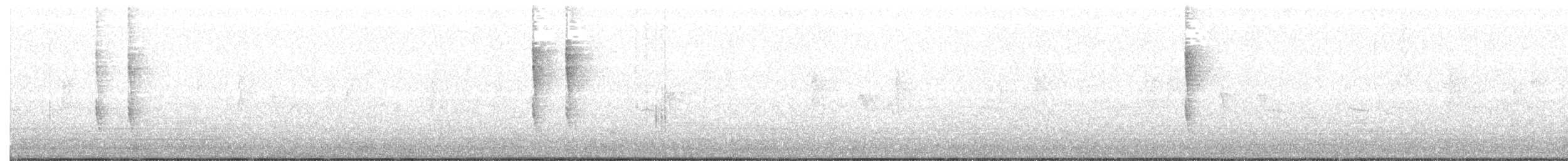 Troglodyte de Baird - ML210686011