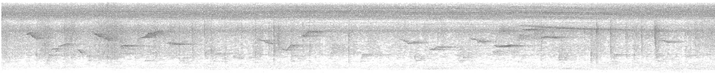 Pouillot du Japon - ML210701531