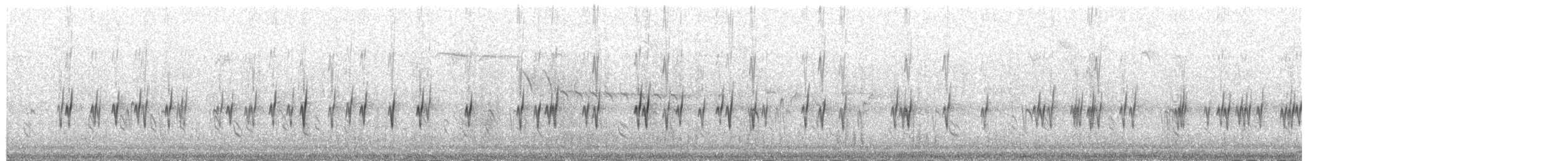 Bec-croisé des sapins (type B) - ML210702301