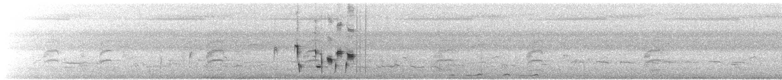 hvitpannehonningeter - ML210714701