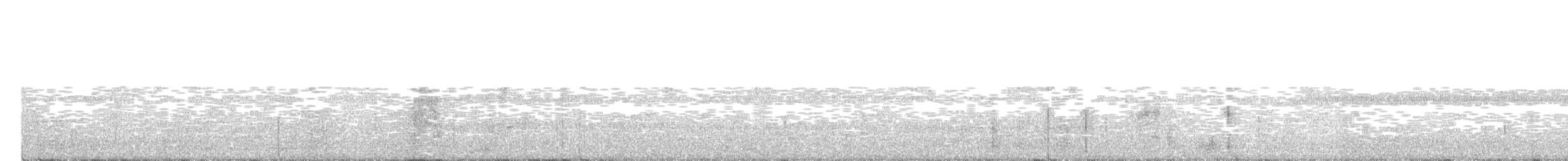 Серогрудый жемчужнокрыл - ML210721941