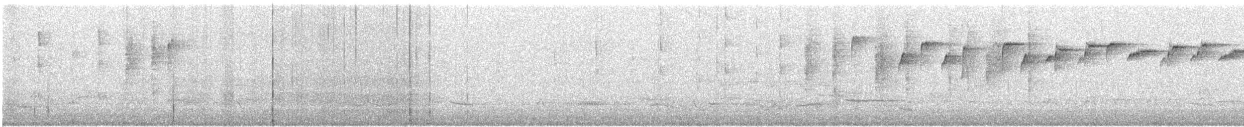 Новозеландская веерохвостка - ML210761601