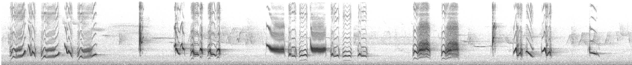 Rotspottdrossel - ML210765131