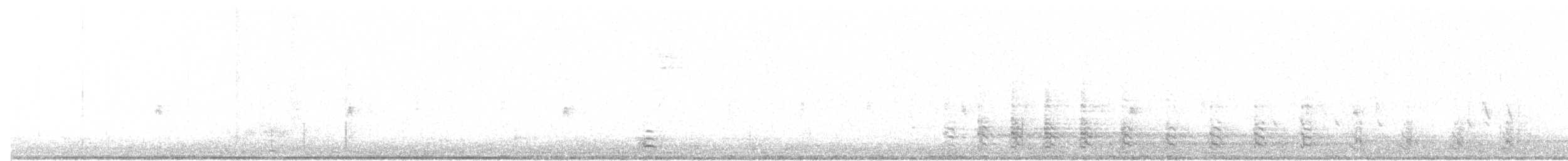 krocan divoký - ML21084581