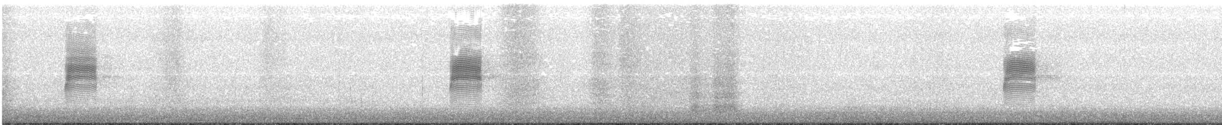 American Woodcock - ML210853281