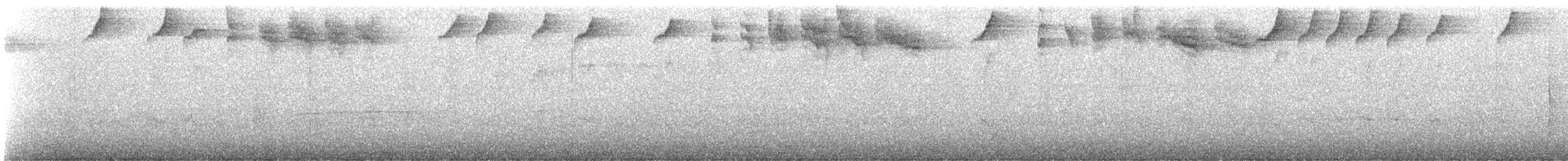 Pectoral Sparrow - ML210956841