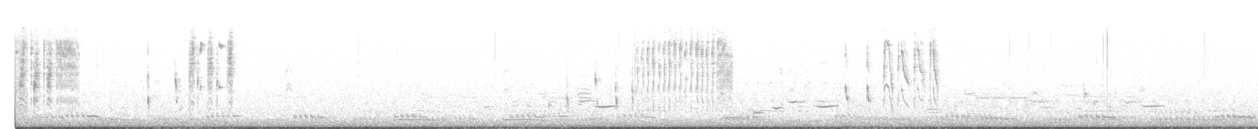 Troglodyte des marais - ML210984131