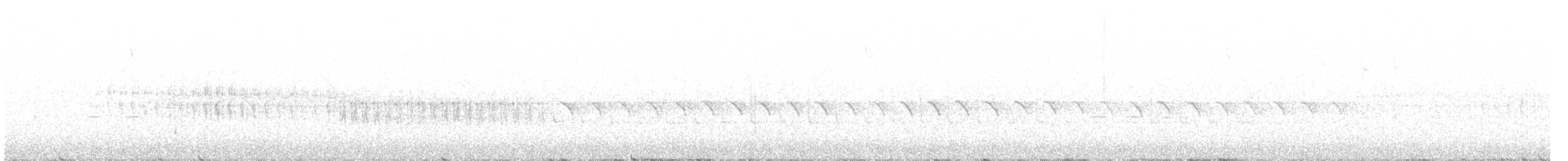 křivka bělokřídlá - ML211016281