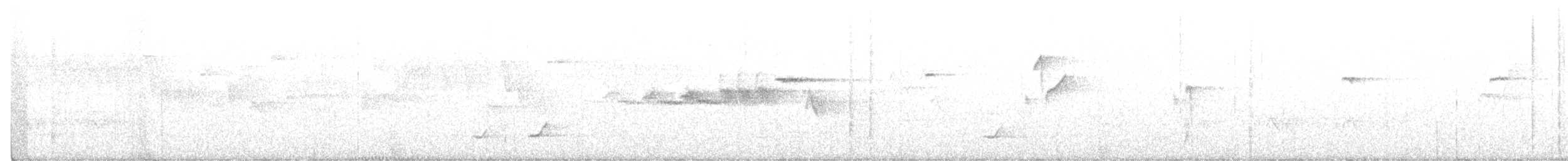 Hermit Warbler - ML211017691