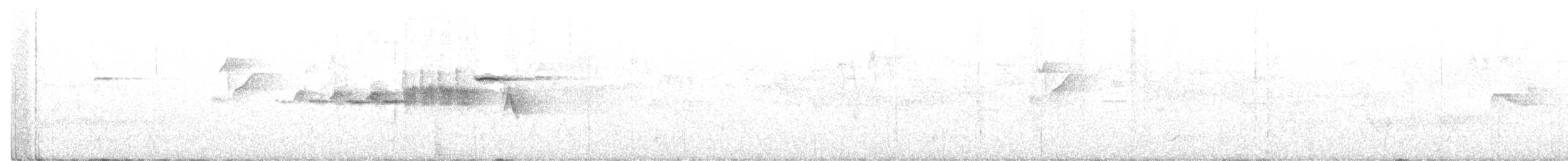 Hermit Warbler - ML211017741