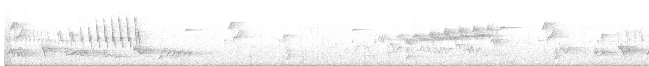 Hermit Warbler - ML211022851