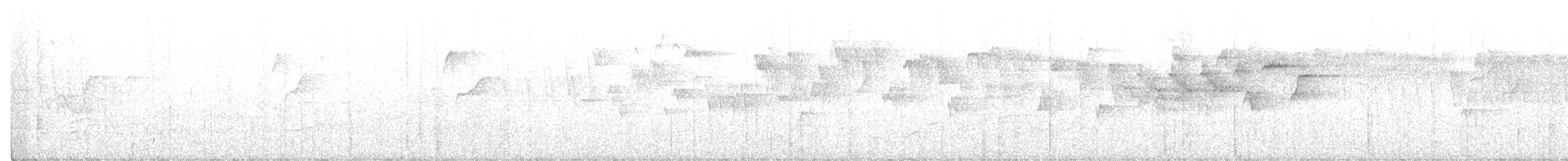 Hermit Warbler - ML211022891