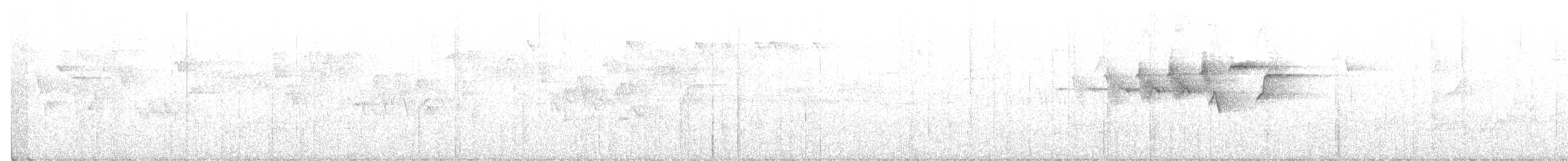 Hermit Warbler - ML211022971