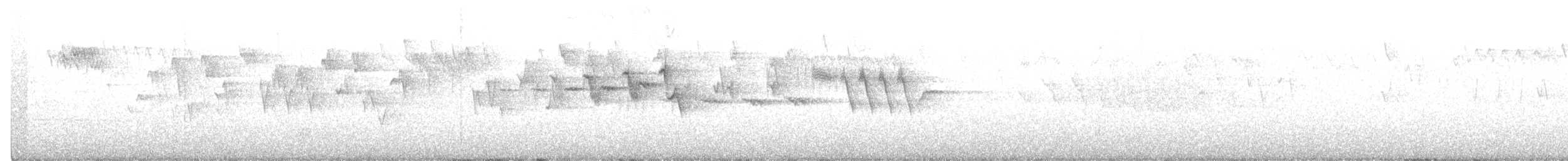 Hermit Warbler - ML211023781