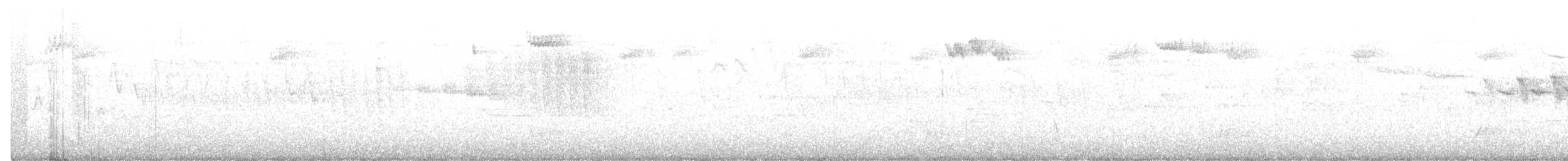 Hermit Warbler - ML211024451