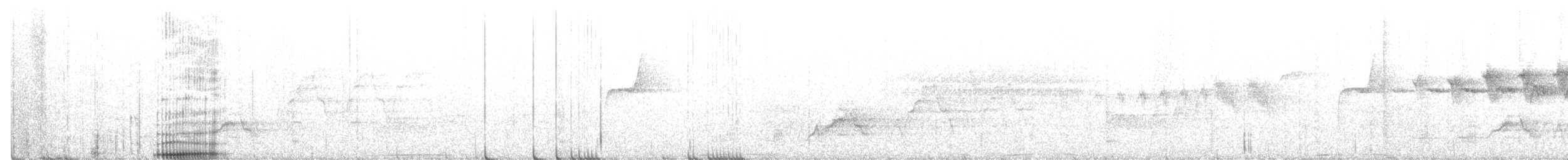 Hermit Warbler - ML211025691