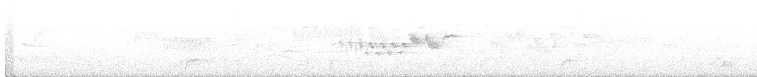 Hermit Warbler - ML211026091