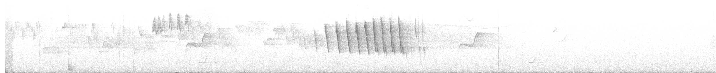 Hermit Warbler - ML211026141