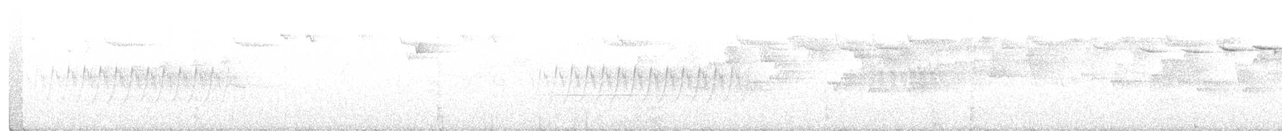 Hermit Warbler - ML211026331