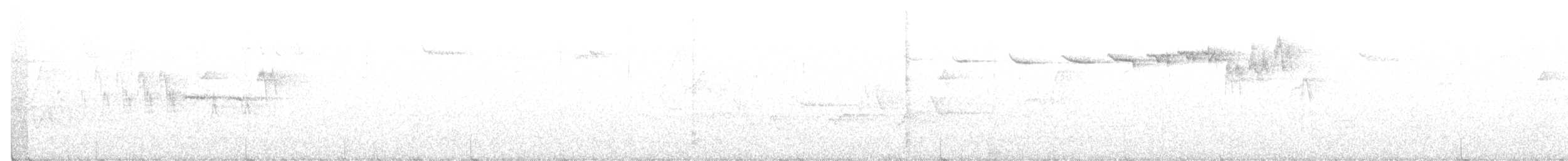 Hermit Warbler - ML211026361