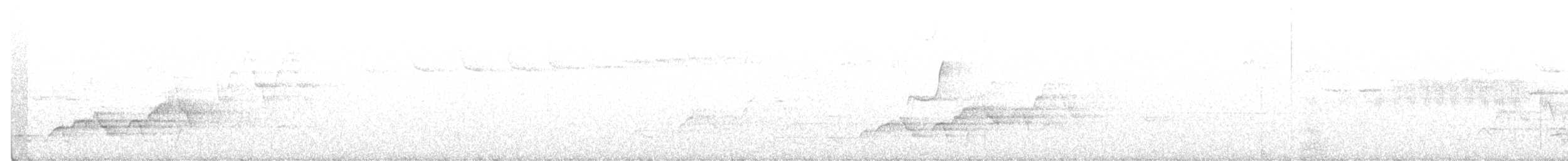 Hermit Warbler - ML211026801