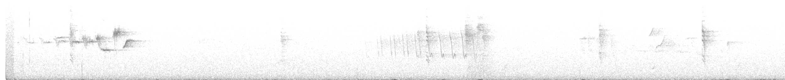 Hermit Warbler - ML211026831