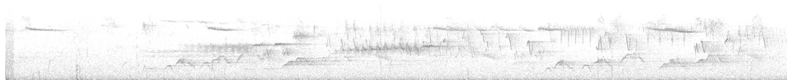 Hermit Warbler - ML211026881