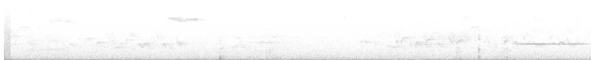 Hermit Warbler - ML211027371