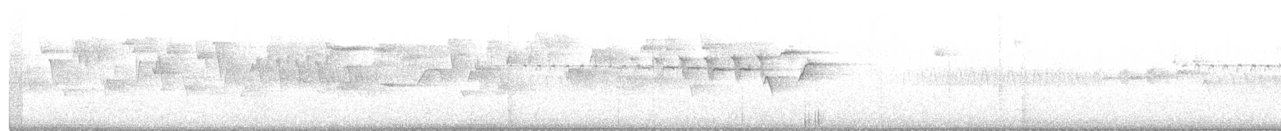 Hermit Warbler - ML211027401