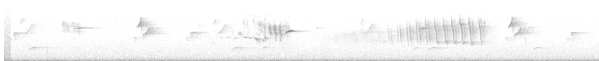 Hermit Warbler - ML211027601