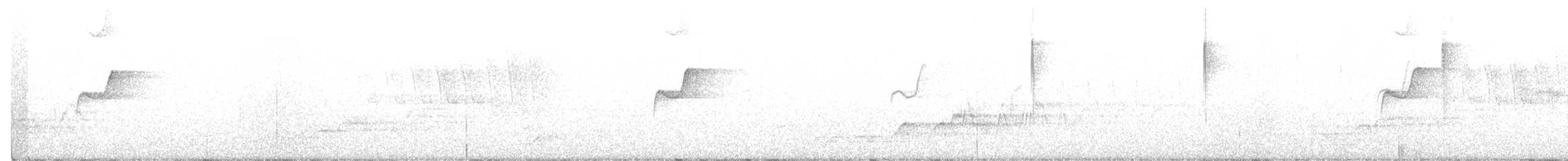 Hermit Warbler - ML211027671