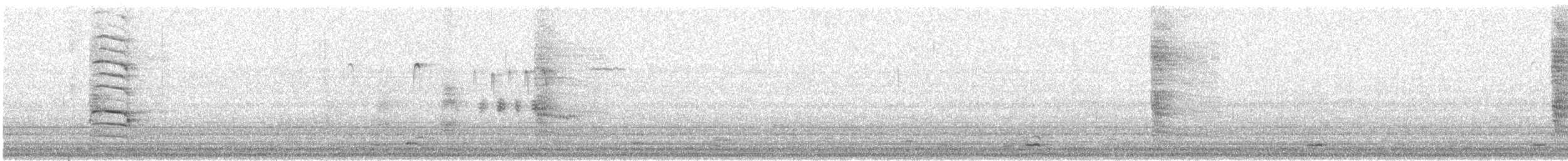 Common Grackle (Bronzed) - ML211089621